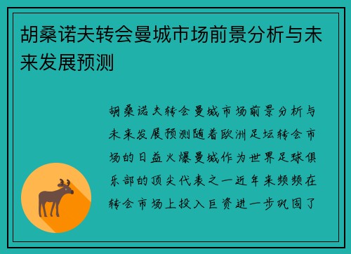 胡桑诺夫转会曼城市场前景分析与未来发展预测