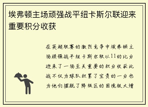 埃弗顿主场顽强战平纽卡斯尔联迎来重要积分收获